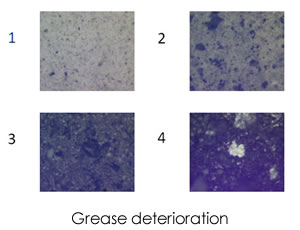 著細(xì)鐵和磁性磨損顆粒的增加,回轉(zhuǎn)軸承的惡化,第四張圖像顯示潤(rùn)滑脂完全干燥