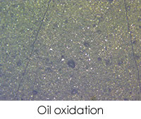 在再潤(rùn)滑量和/或頻率不足是通過(guò)過(guò)早的油氧化、摩擦聚合物、粘性磨損碎片、回火顆粒和黑色氧化鐵顆粒來(lái)診斷或確認(rèn)的